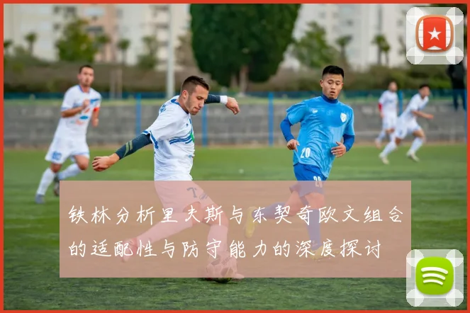 铁林分析里夫斯与东契奇欧文组合的适配性与防守能力的深度探讨